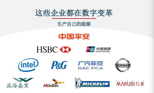 對標Adobe，Nequal如何以數據與技術雙引擎賦能企業智慧商業